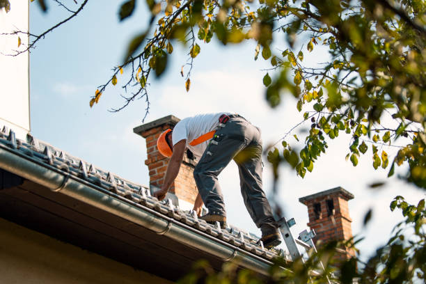 Gutter Replacement in Sheldon, IA