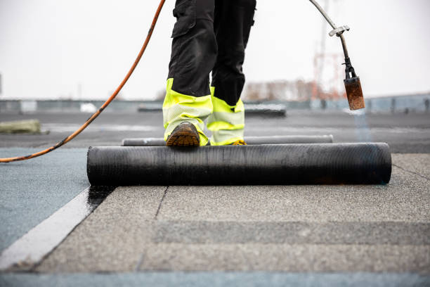 Best Roof Coating and Sealing  in Sheldon, IA