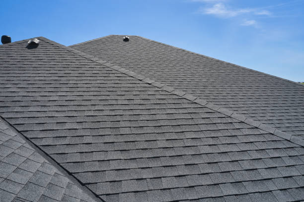 Best Roof Coating and Sealing  in Sheldon, IA